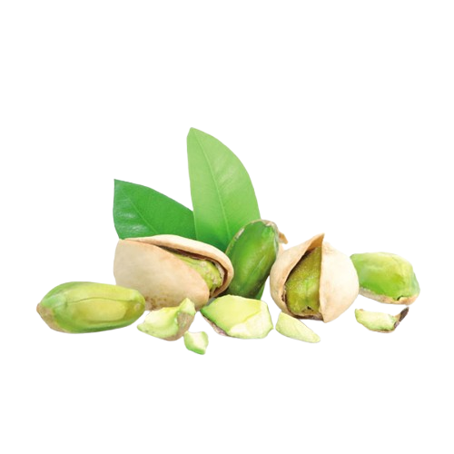 Take Dry Fruits and Stay Healthy